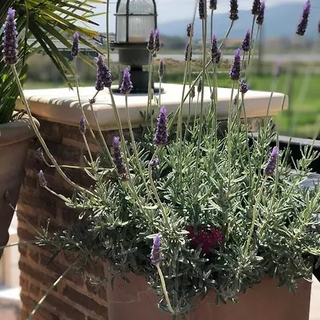 House I&ii Apartament *