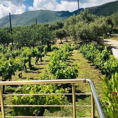 House I&ii Apartament